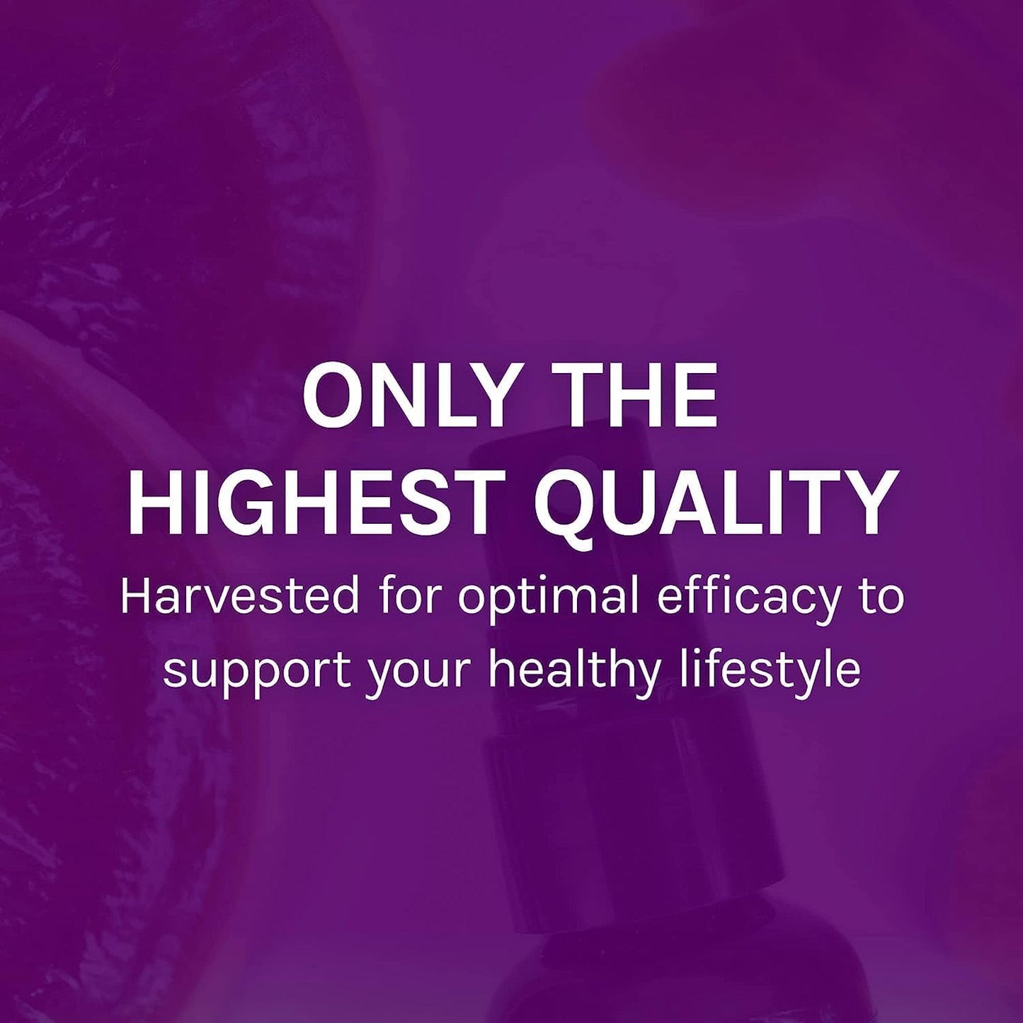 Immune Health Support Throat Spray with Chaga, Reishi, Turkey Tail - Host Defense MycoShield - On-The-Go Immune Support - 2 fl oz