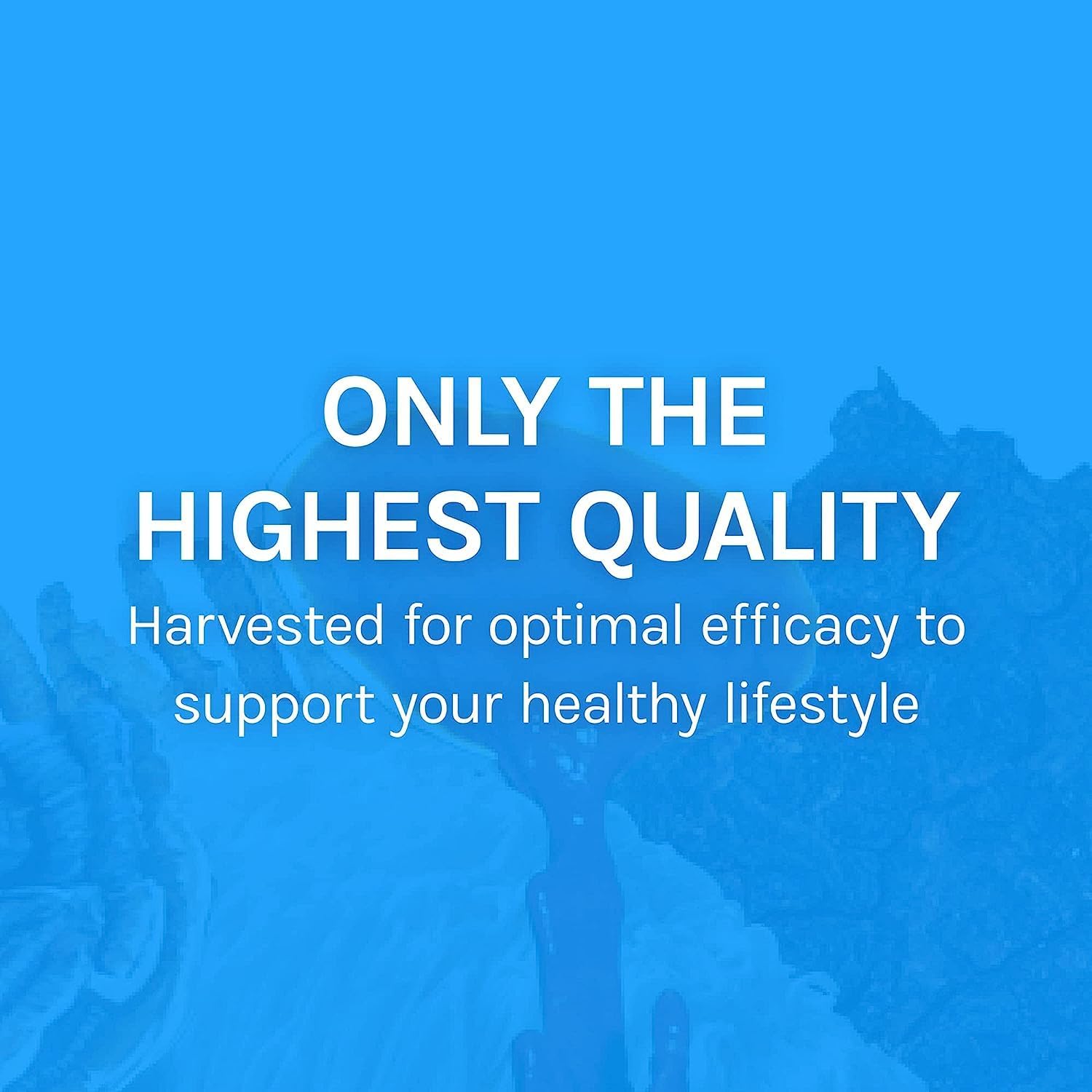 Immune & Respiratory Support Mushroom Supplement - Herbal Lung Health with Chaga, Reishi, Cordyceps - 60 Capsules