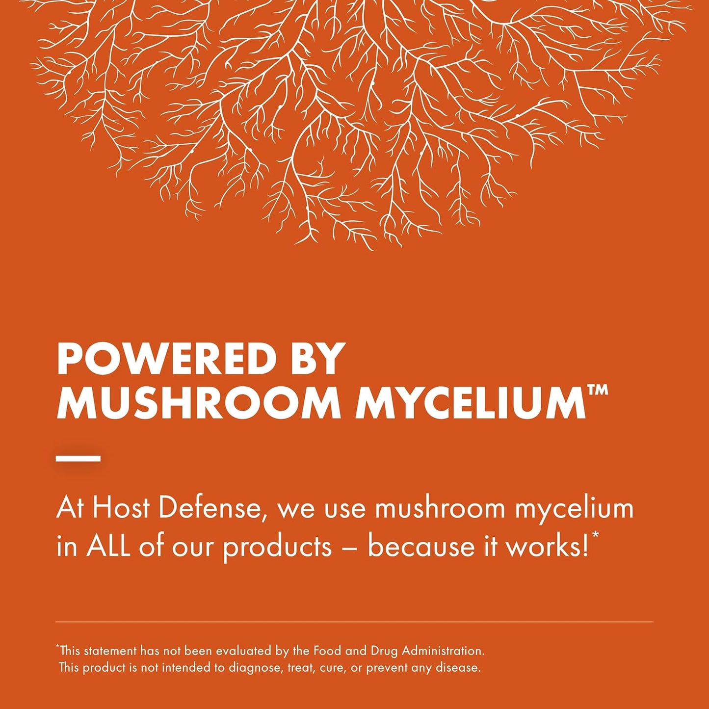 Immune & Respiratory Support Mushroom Supplement with Chaga, Reishi, and Cordyceps - 120 Capsules