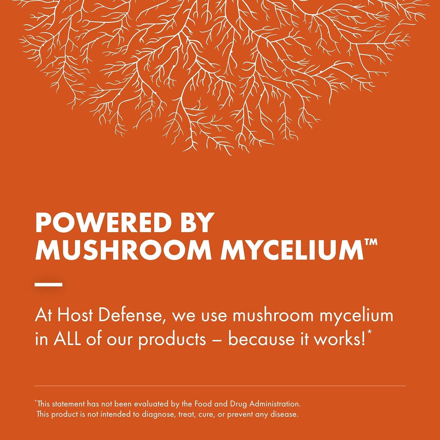 Immune & Respiratory Support Mushroom Supplement with Chaga, Reishi, and Cordyceps - 120 Capsules