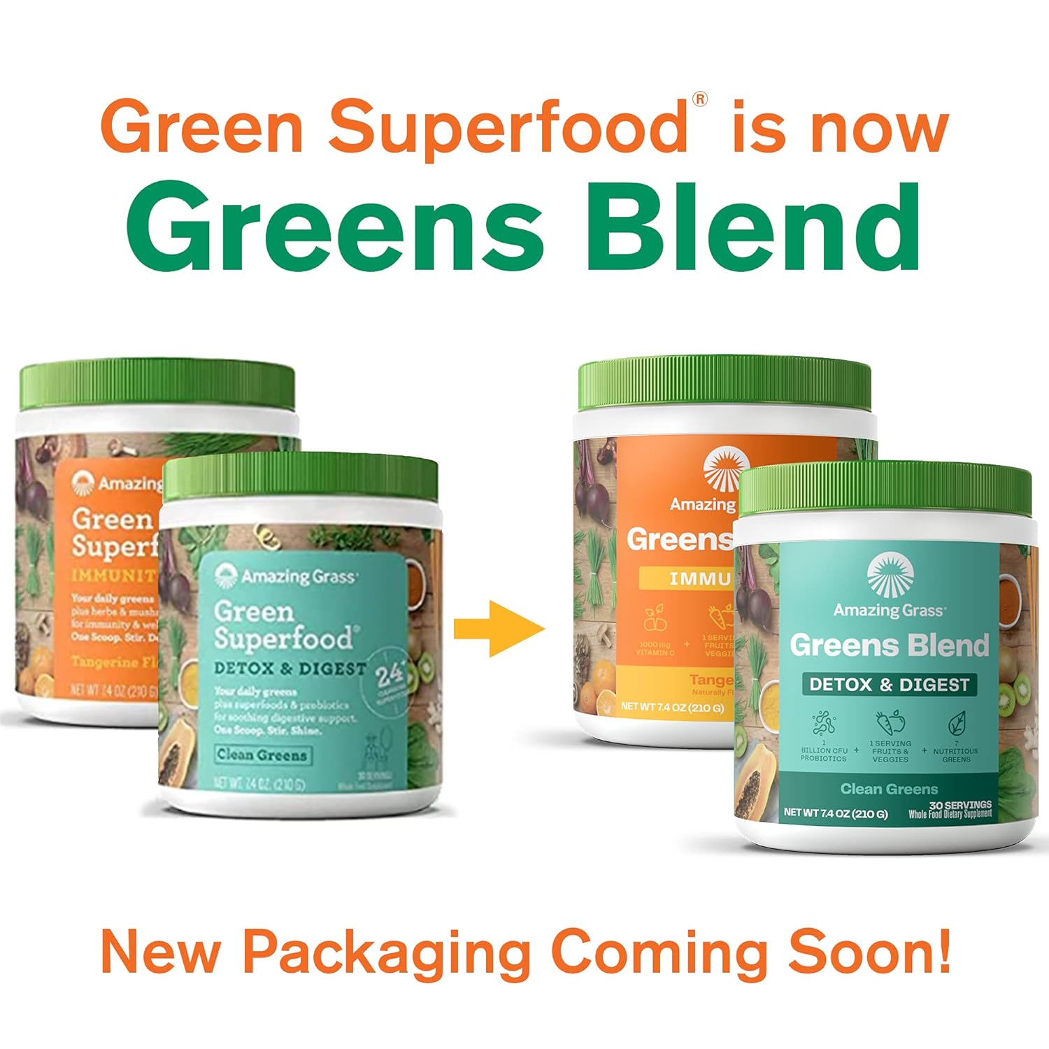 Immune Support and Detox Greens Blend Superfood Powder by Amazing Grass