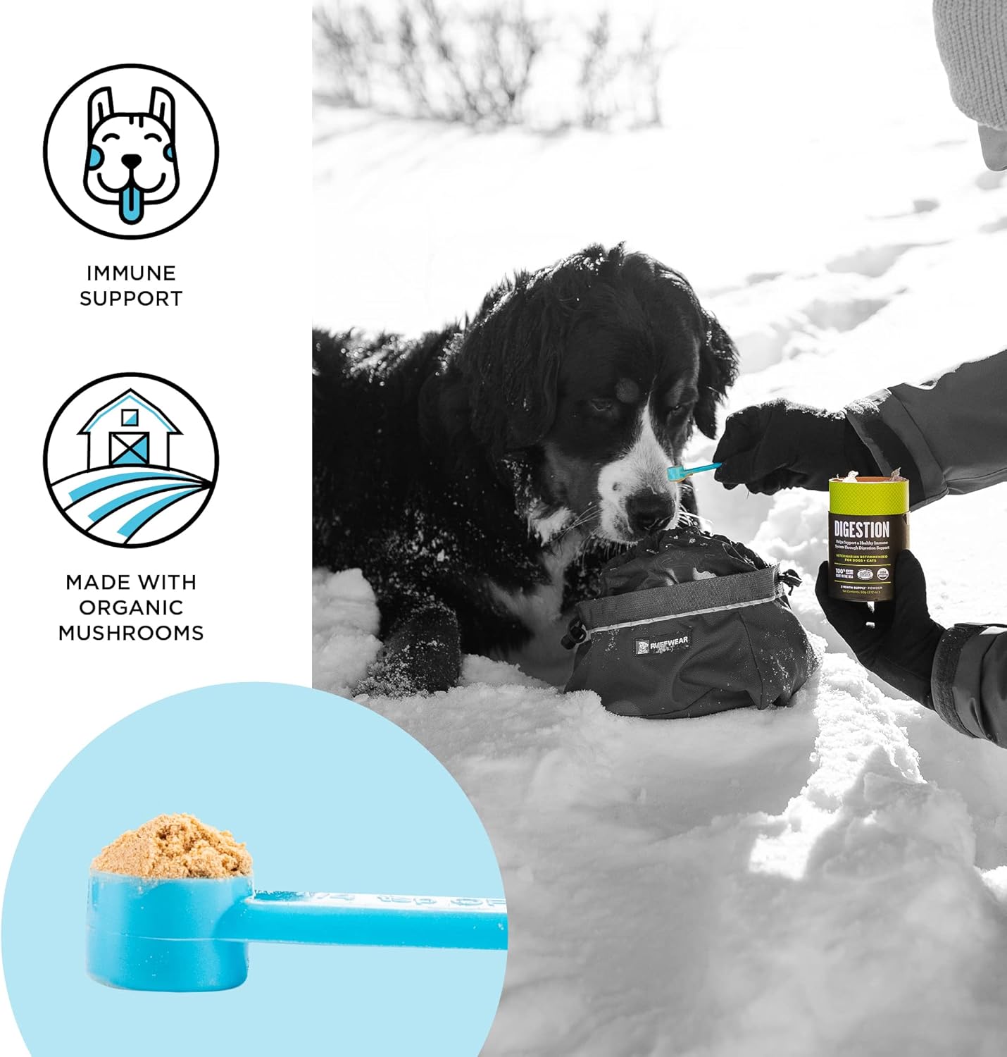 Immune Support Daily Cat Supplement Powder - BIXBI Dog Vitamins, 2-Month Supply