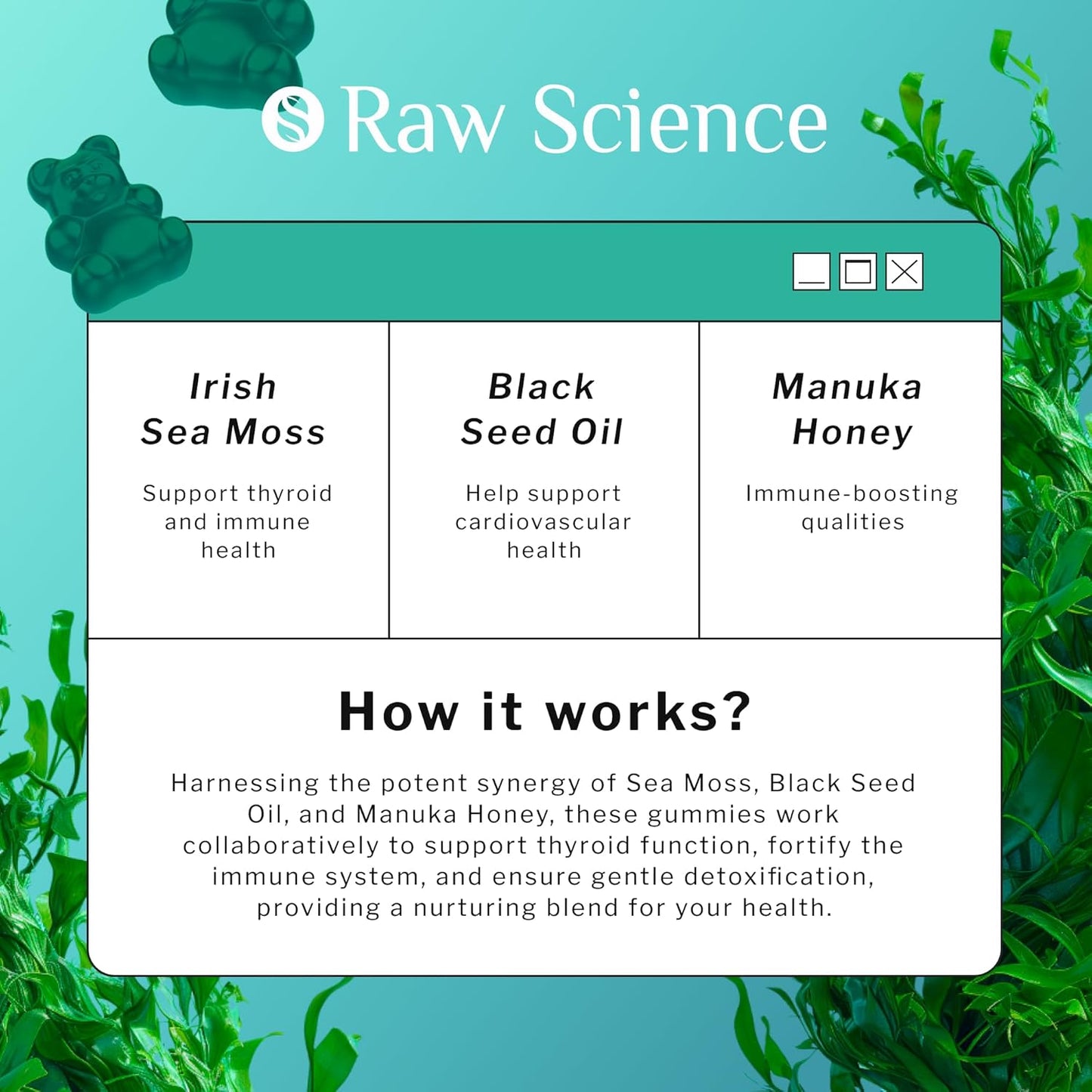 Immune Support Gummies with Sea Moss, Black Seed Oil, and Manuka Honey for Detox and Thyroid Support - 60 Count