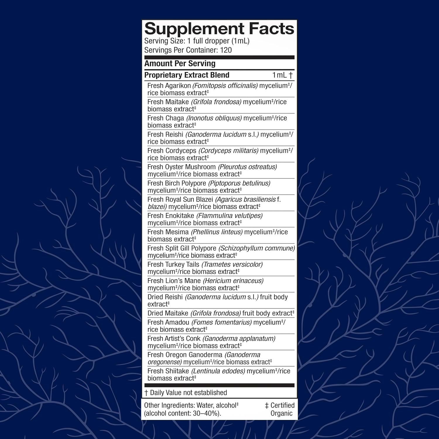 Immune Support Mushroom Extract - MyCommunity Blend with Lion's Mane, Reishi, Chaga, Cordyceps, Turkey Tail & More - 4 fl oz