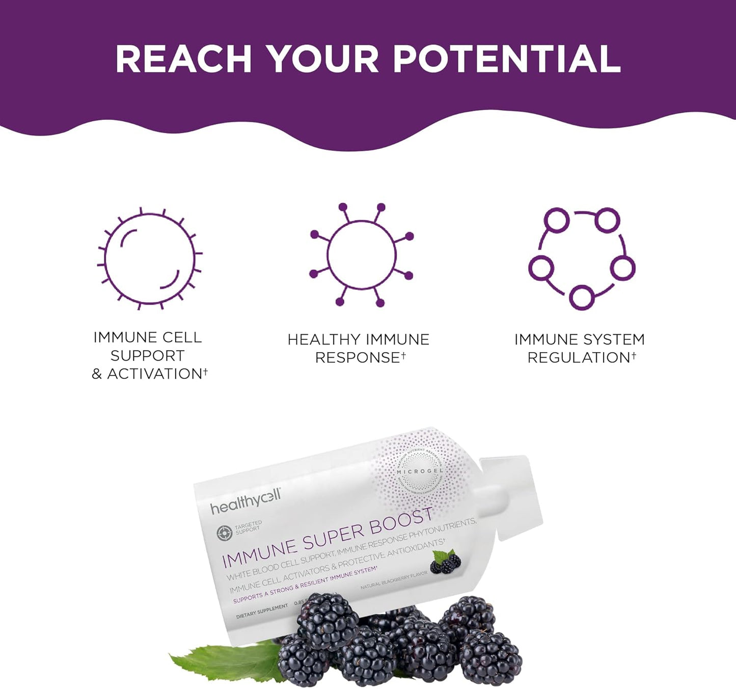 Immune Support Supplement with Echinacea, Elderberry, Vitamin C, Zinc - Maximum Absorption - 30 Gel Packs