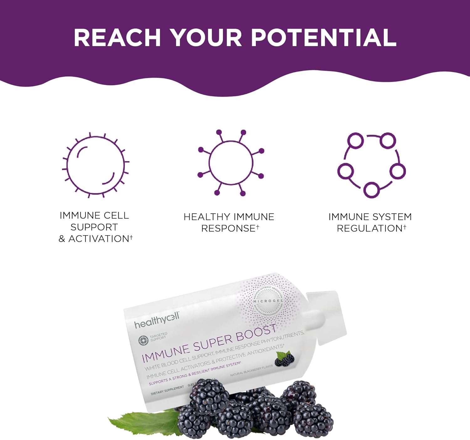 Immune Support Supplement with Echinacea, Elderberry, Vitamin C, Zinc - Maximum Absorption - 30 Gel Packs