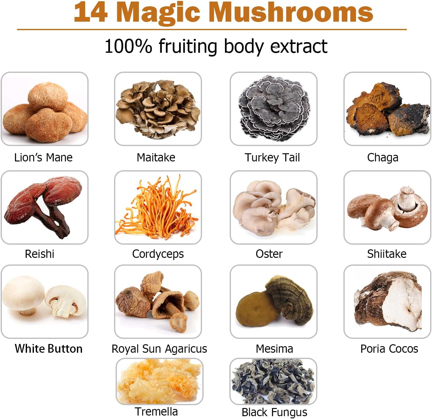 Immune System Booster & Brain Supplement - 14 Mushroom Capsules with Lion’s Mane, Reishi, Maitake, Turkey Tail, Chaga, Black Pepper - 30% Beta-Glucan for Absorption