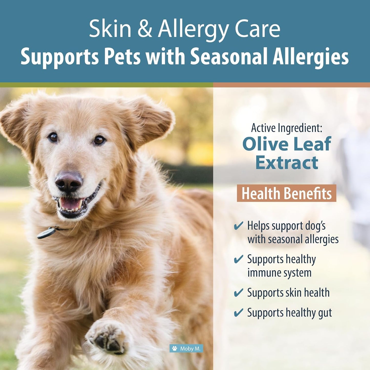 Immune System Support Supplement for Dogs with Allergies - 60 Count