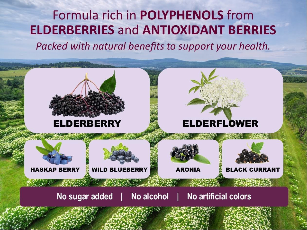 Immunia Fusion Antioxidant Formula with Elderberries and Blue Fruits - Boost Immune Support (1-Pack)