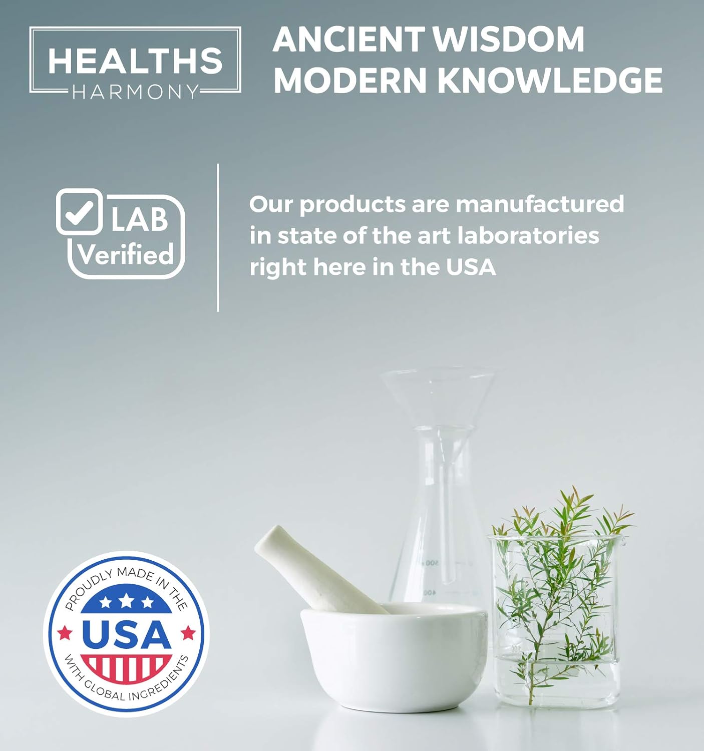 Immunity Boost Supplement with Elderberry, Vitamin C, Zinc, Magnesium, and D - 60 Day Supply for Daily and Seasonal Support by Healths Harmony