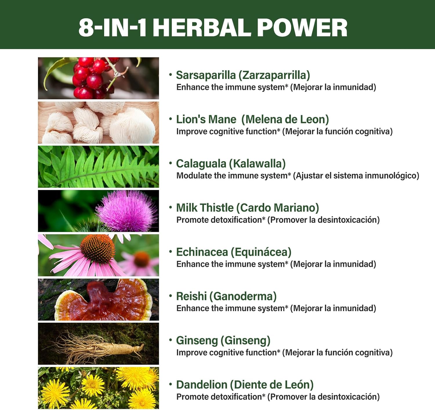 Immunity & Detox Drops with Sarsaparilla, Kalawalla Root, and Lion's Mane - Natural Herbal Support Formula - 2oz