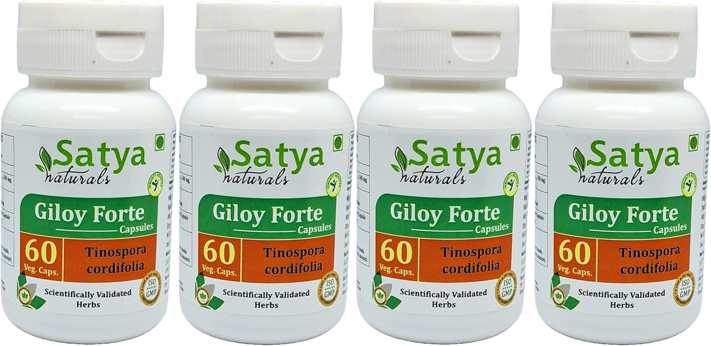 Indian Ayurvedic Giloy Forte Capsules 500mg - Guduchi Extract Supplement for Men and Women - 240 Capsules in Total