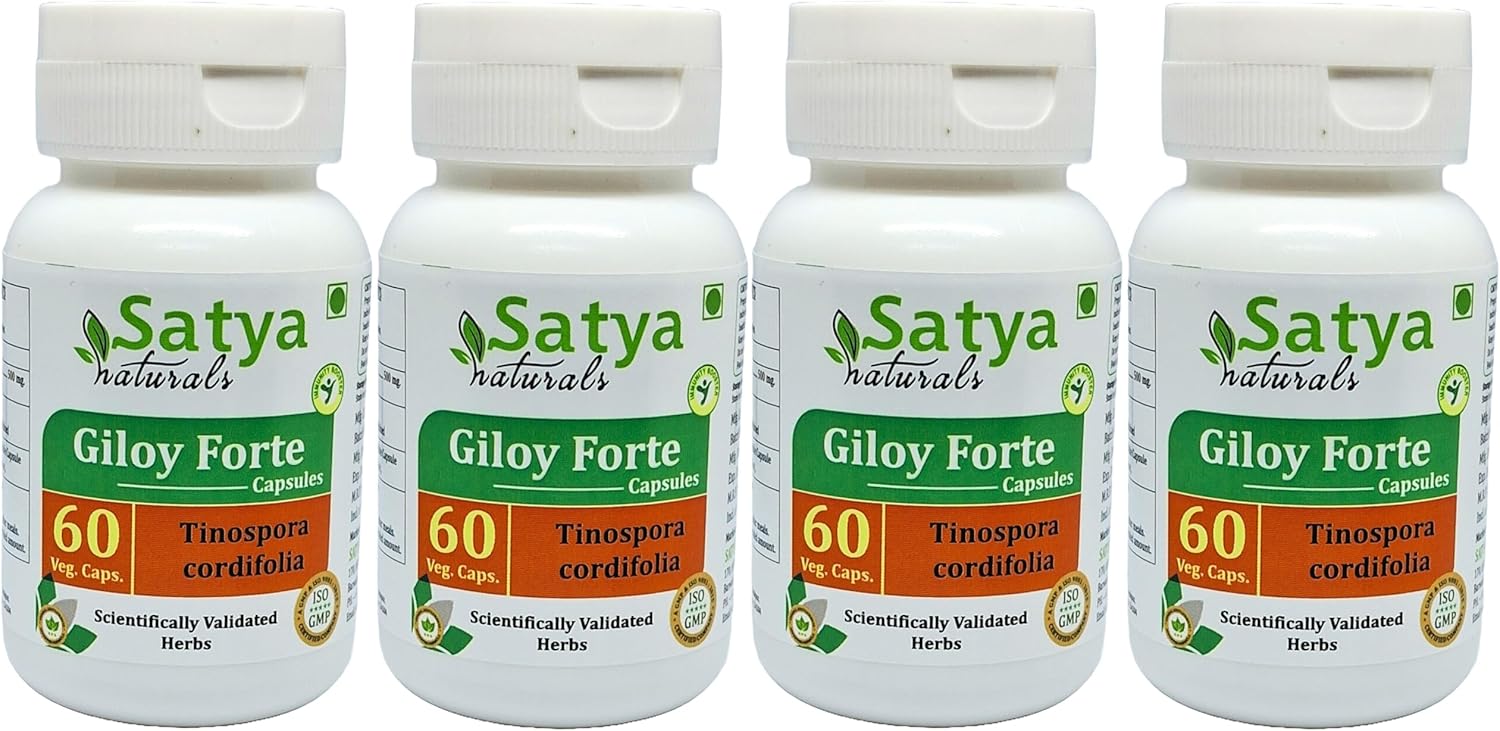 Indian Ayurvedic Giloy Forte Capsules 500mg - Guduchi Extract Supplement for Men and Women - 240 Capsules in Total