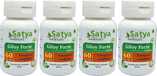 Indian Ayurvedic Giloy Forte Capsules 500mg - Guduchi Extract Supplement for Men and Women - 240 Capsules in Total