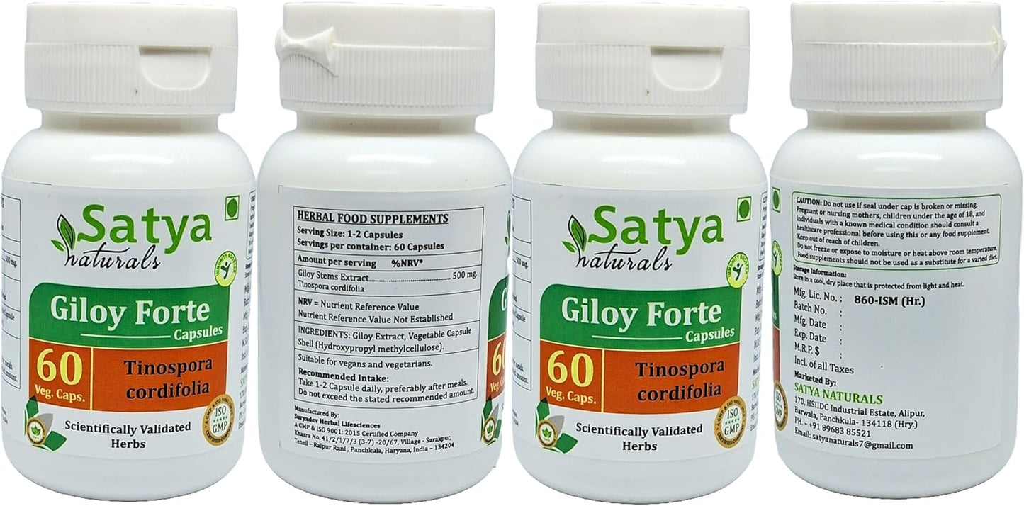 Indian Ayurvedic Giloy Forte Capsules 500mg - Guduchi Extract Supplement for Men and Women - 240 Capsules in Total