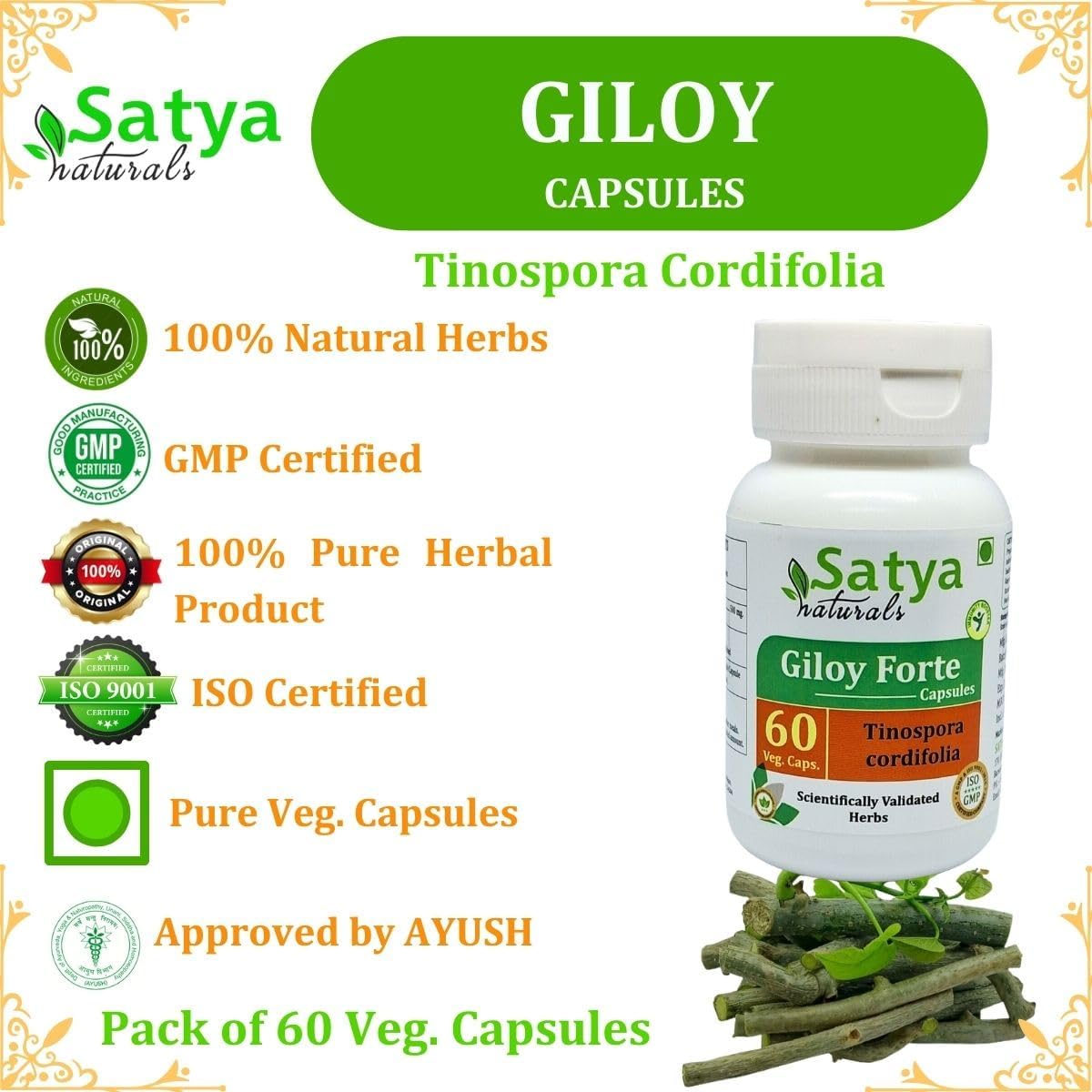Indian Ayurvedic Giloy Forte Capsules 500mg - Guduchi Extract Supplement for Men and Women - 240 Capsules in Total
