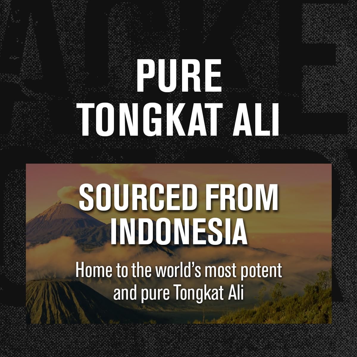 Indonesian Tongkat Ali 200:1 Extract Capsules for Men - Vitality and Energy Support Formula for Mood and Recovery - 120 Caps