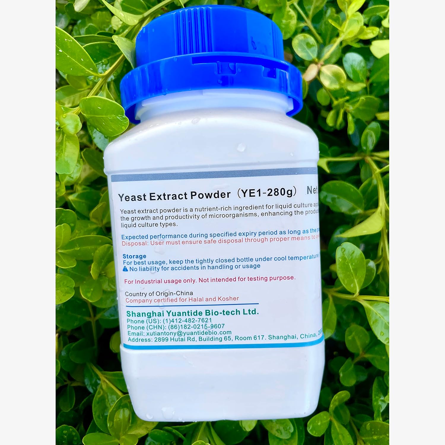 Industrial Grade Yuantide Yeast Extract Powder (YC01) 280g - Premium Nutrient for Mycology and Microorganisms