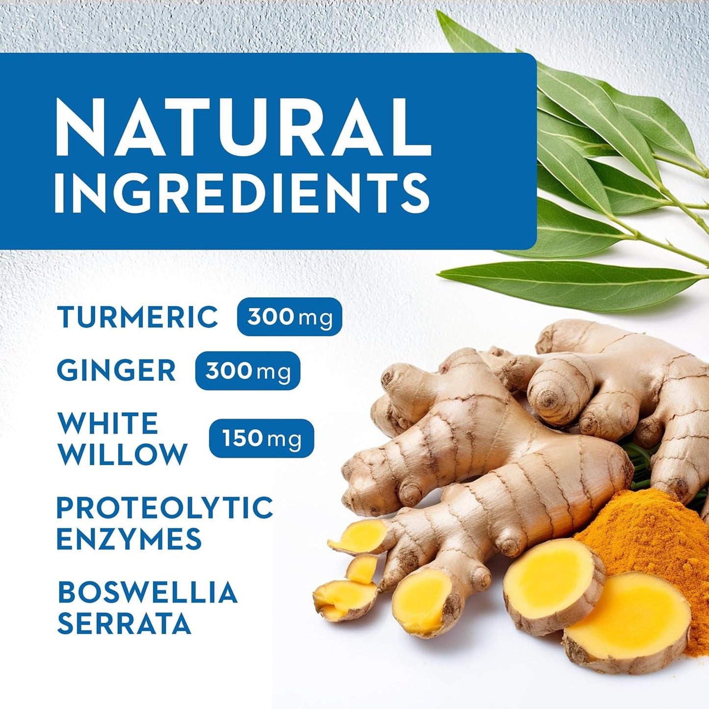 Inflamax® Plus Supplement with Quercetin, Proteolytic Enzymes, Ginger, and Turmeric in Veggie Caps for Immune Support