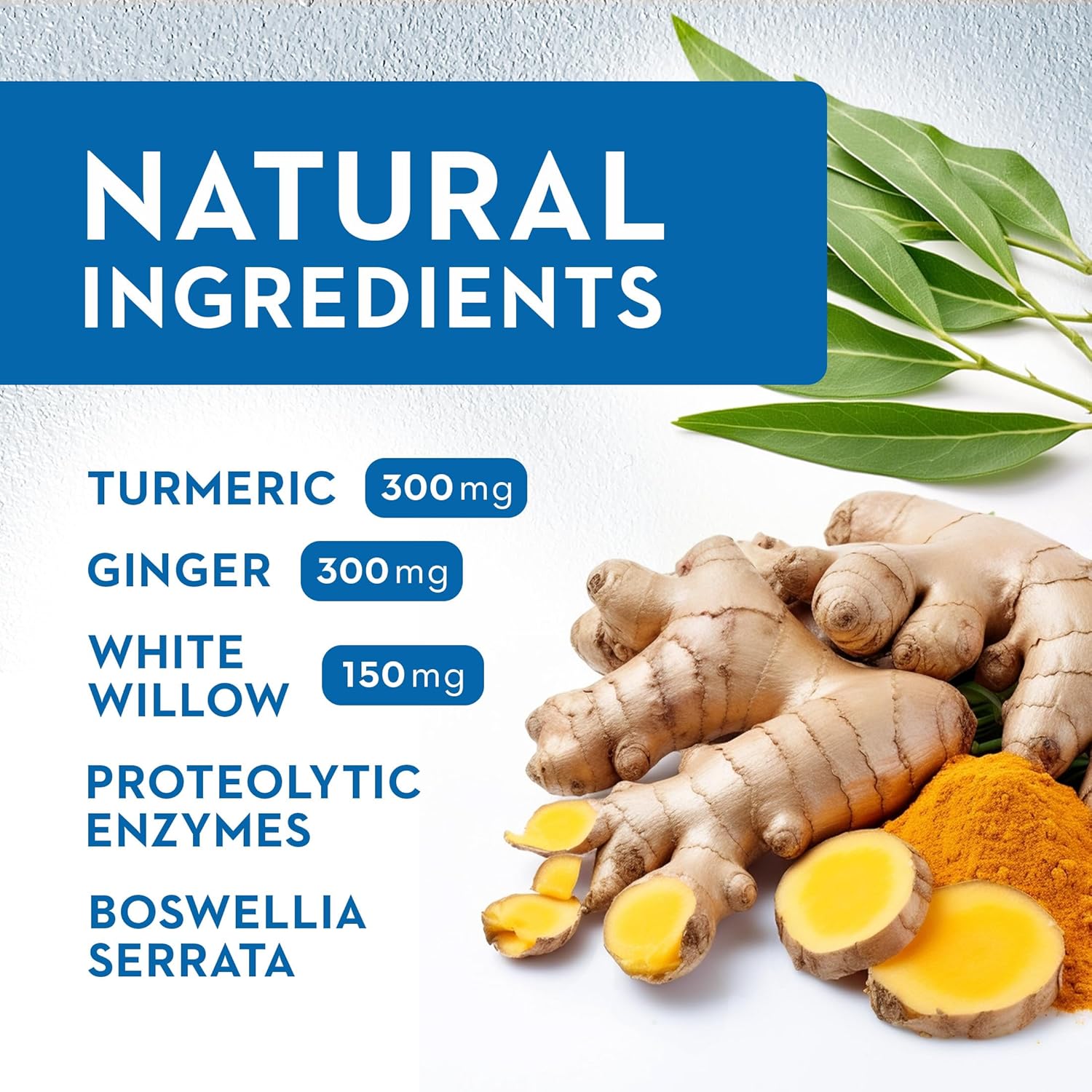 Inflamax® Plus Supplement with Quercetin, Proteolytic Enzymes, Ginger, and Turmeric in Veggie Caps for Immune Support