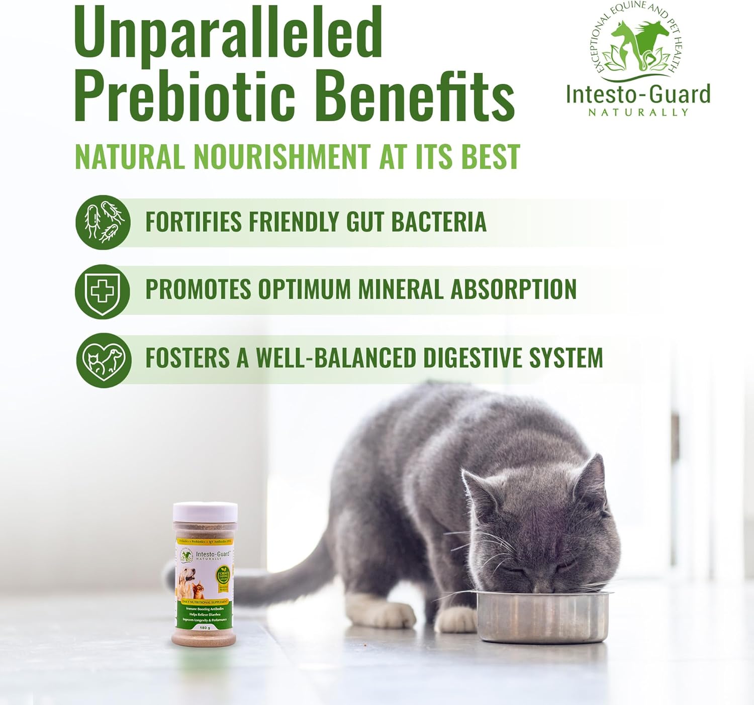 Intesto-Guard Probiotic Powder for Dogs & Cats - Prebiotic & Probiotics for Bowel, Digestive & Immune Support - 90 Day Supply - All-Natural