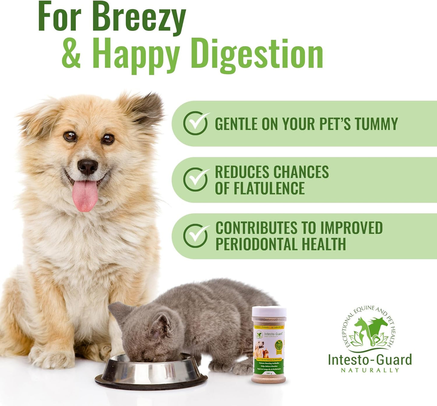Intesto-Guard Probiotic Powder for Dogs & Cats - Prebiotic & Probiotics for Bowel, Digestive & Immune Support - 90 Day Supply - All-Natural