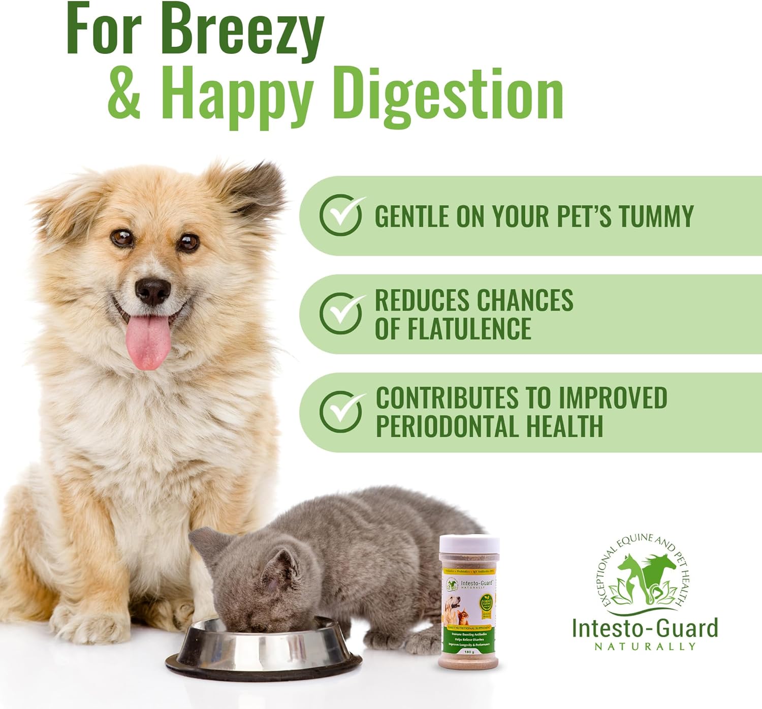 Intesto-Guard Probiotic Powder for Dogs & Cats - Prebiotic & Probiotics for Bowel, Digestive & Immune Support - 90 Day Supply - All-Natural