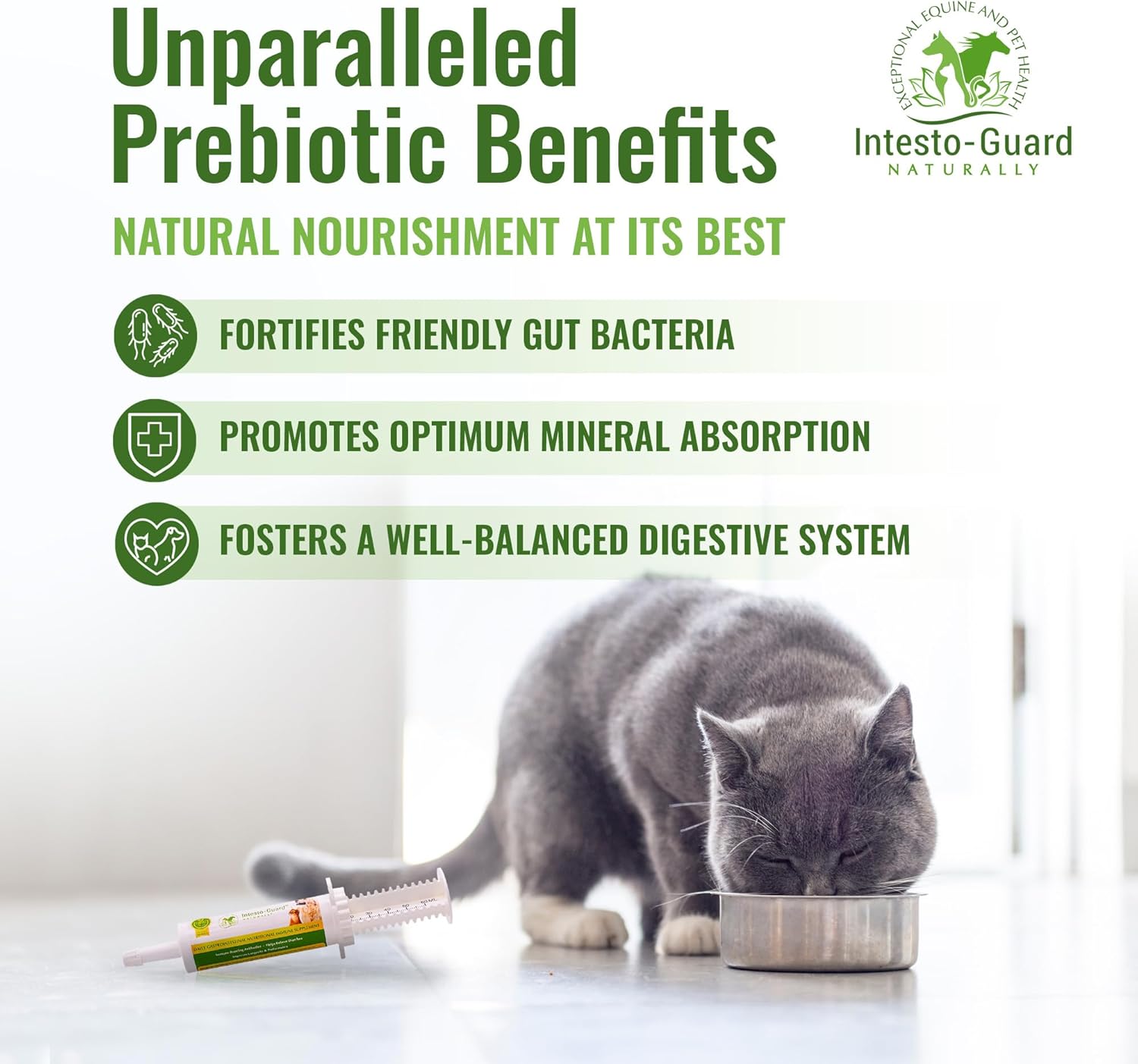Intesto-Guard Probiotics Paste 60ML for Dogs & Cats | Helps with Diarrhea & Immune Health | IgY Antibodies | Made in USA