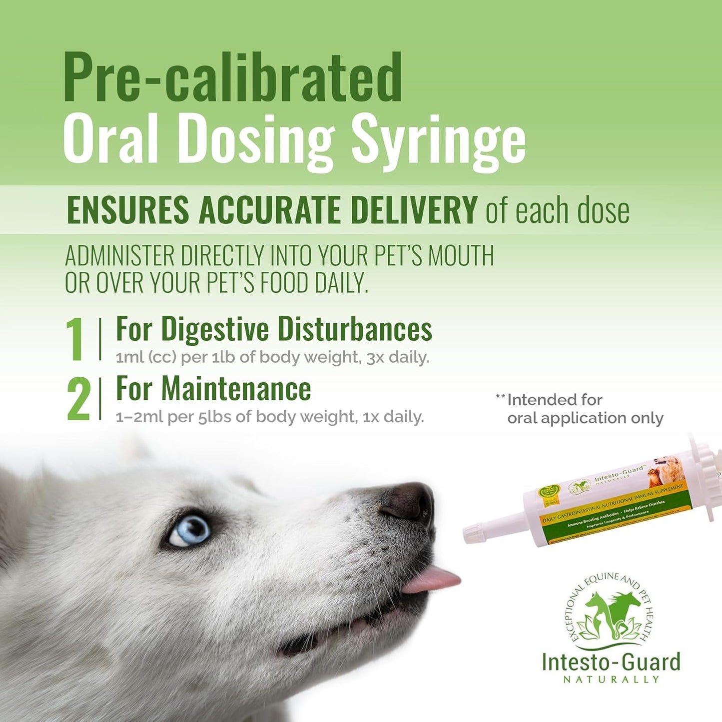Intesto-Guard Probiotics Paste 60ML for Dogs & Cats | Helps with Diarrhea & Immune Health | IgY Antibodies | Made in USA