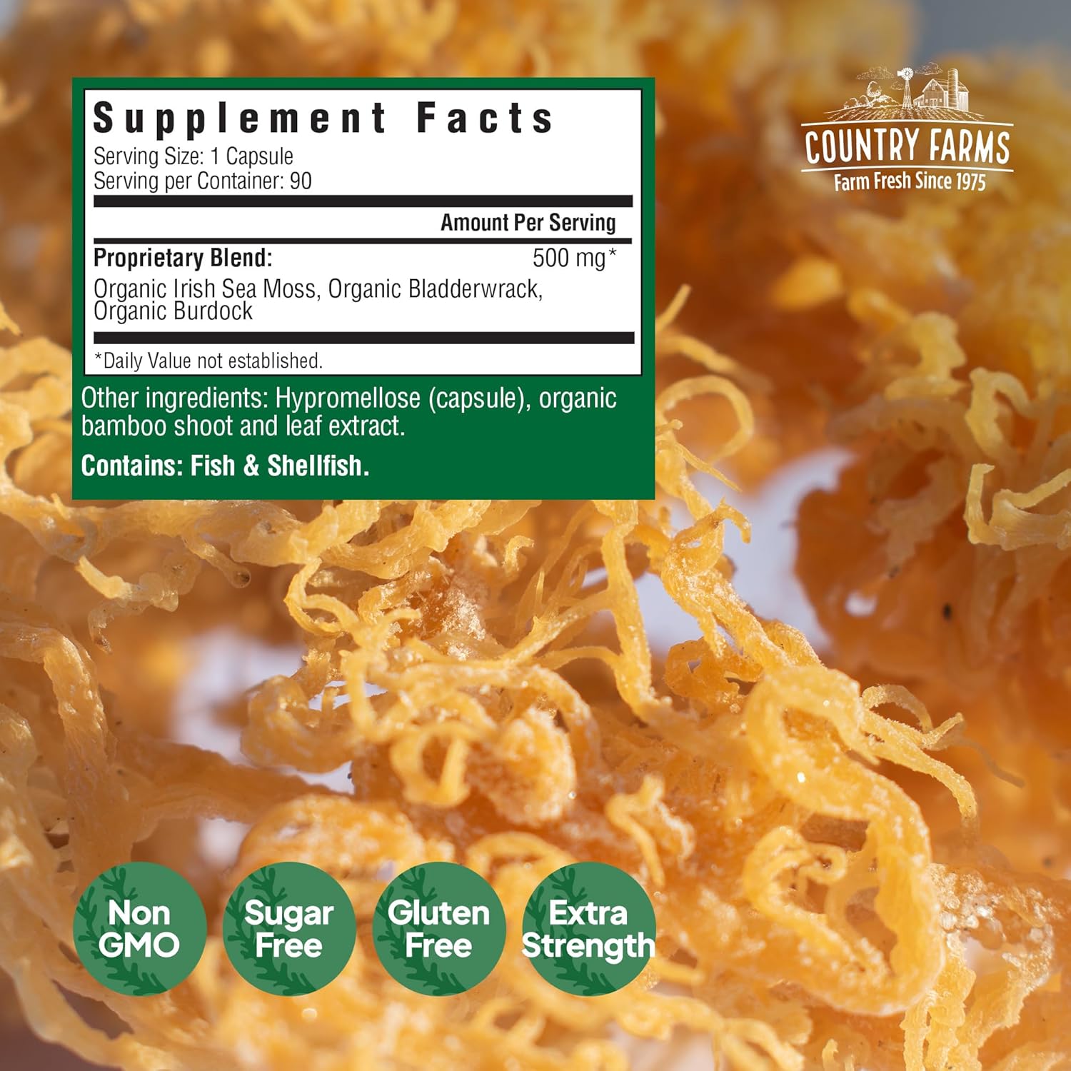 Irish Sea Moss Capsules for Healthy Skin, Immune Support, and Natural Energy - 90 Capsules with Burdock Root and Bladderwrack