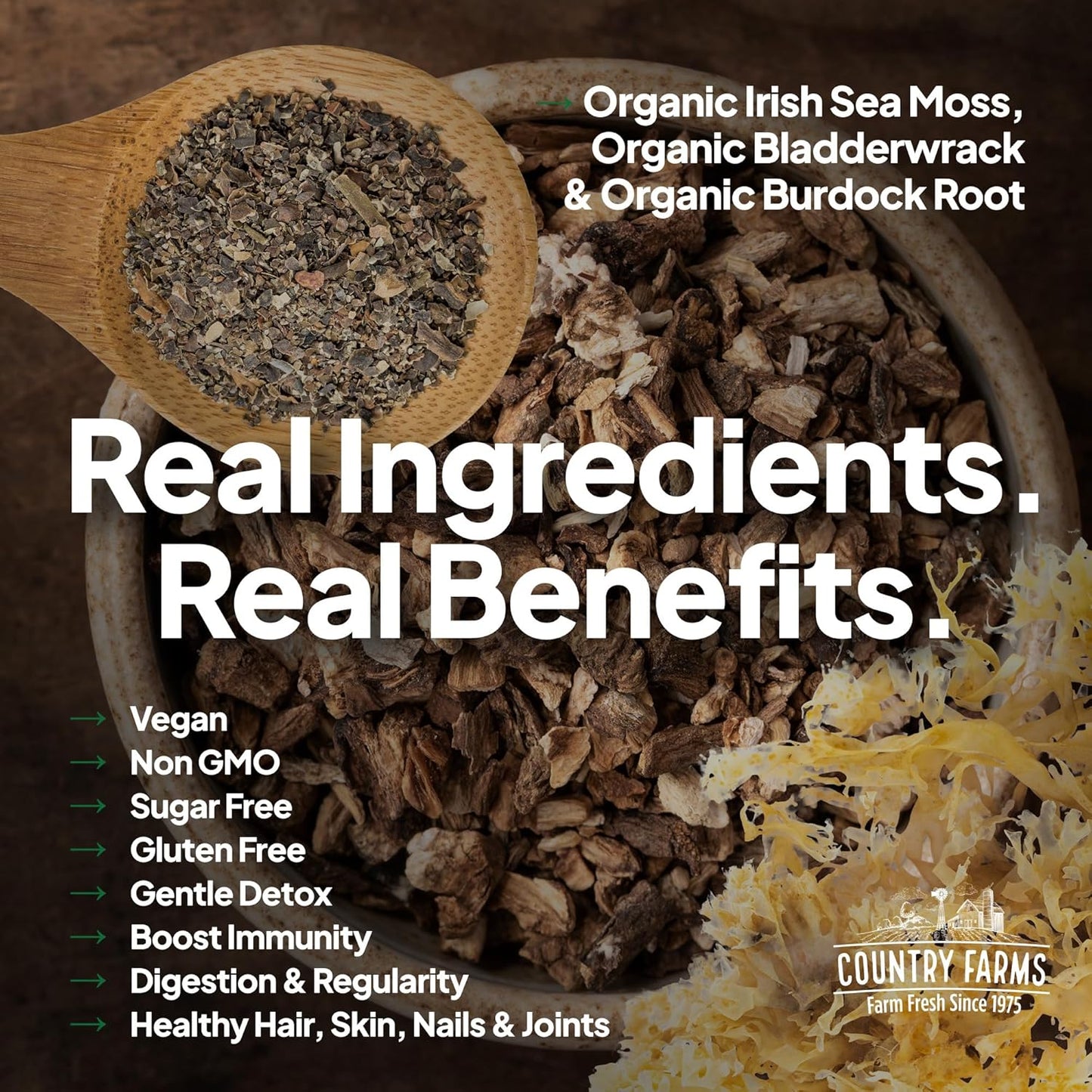 Irish Sea Moss Capsules for Healthy Skin, Immune Support, and Natural Energy - 90 Capsules with Burdock Root and Bladderwrack