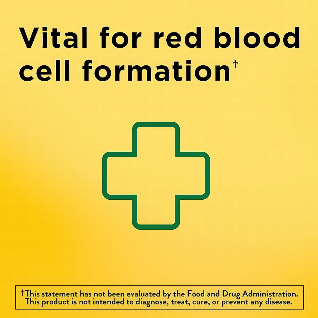 Iron 65 mg Tablets with Ferrous Sulfate for Red Blood Cell Support - 365 Day Supply with Travel Case
