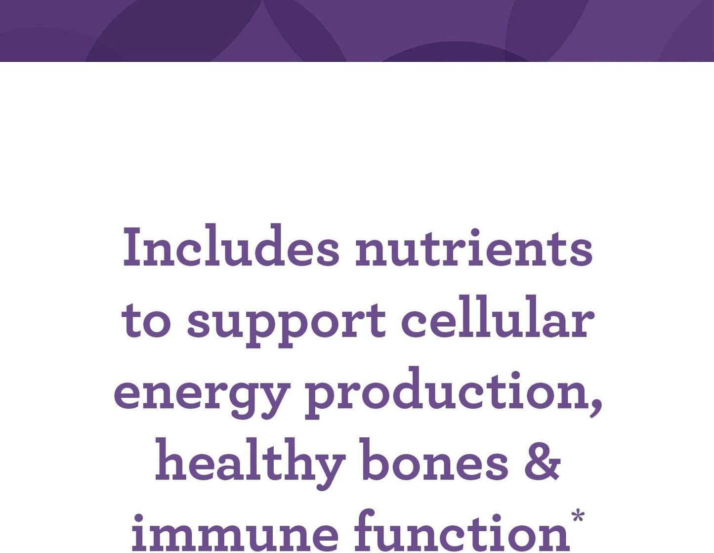 Iron-Free Daily Multivitamin with B Vitamins - Vegetarian, Non-GMO, Kosher - 60 Count (60 Servings) - INNATE Response Formulas One Daily without Iron