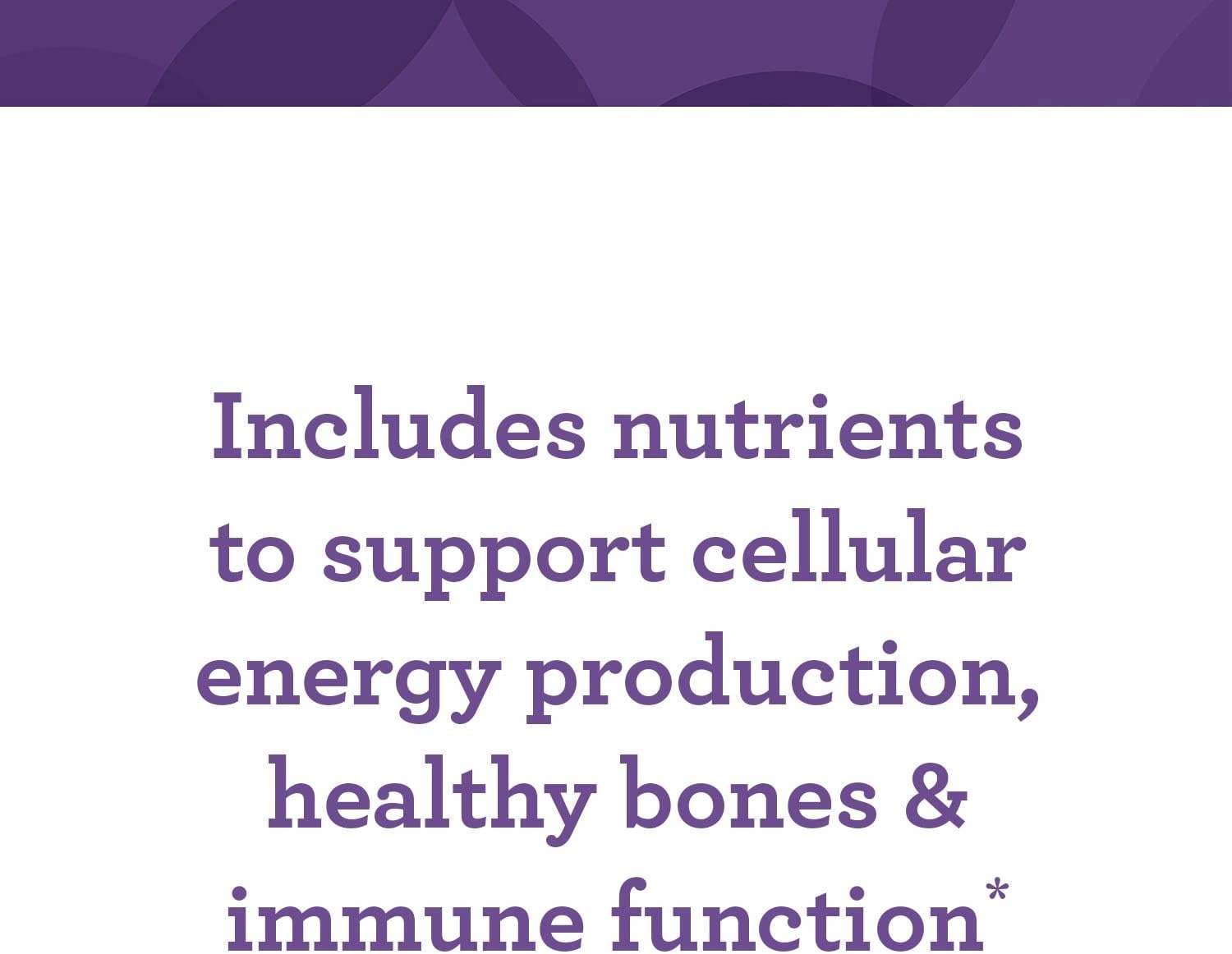 Iron-Free Daily Multivitamin with B Vitamins - Vegetarian, Non-GMO, Kosher - 60 Count (60 Servings) - INNATE Response Formulas One Daily without Iron