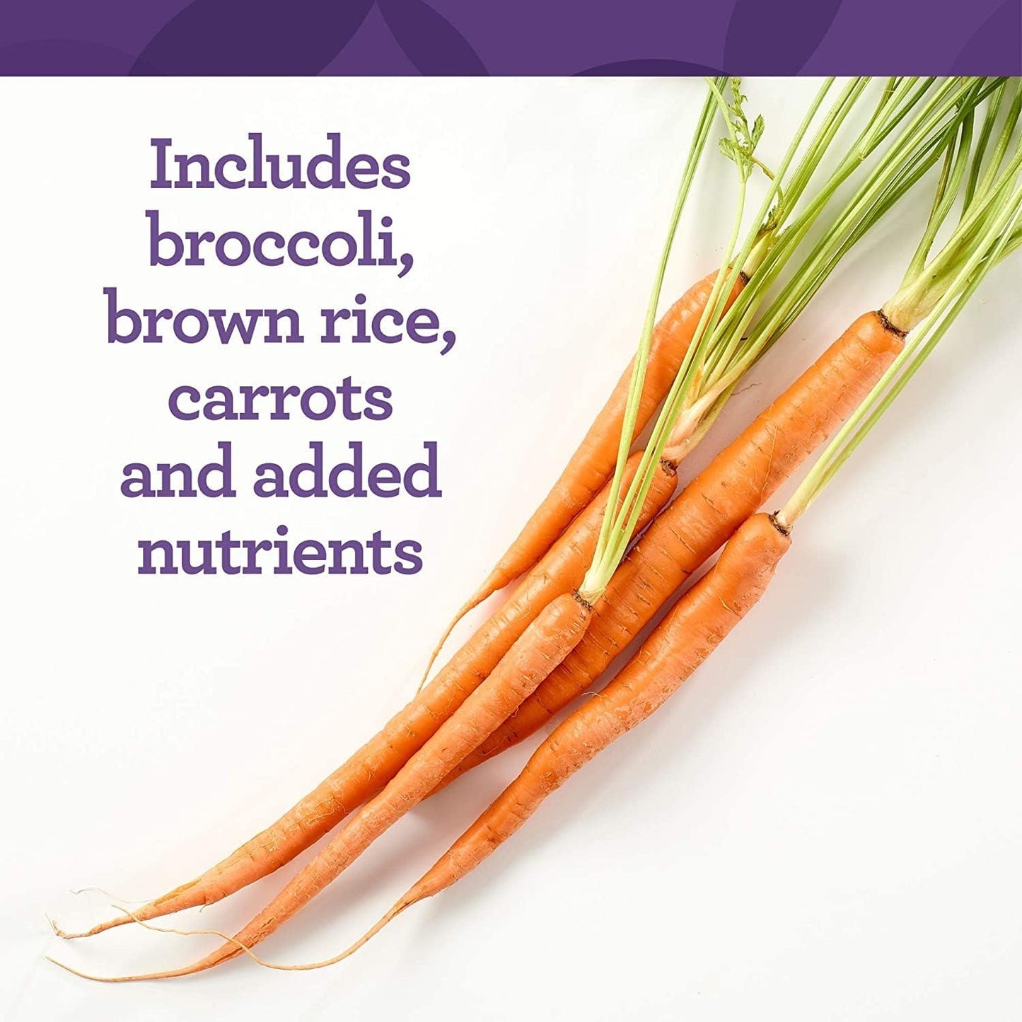 Iron-Free Daily Multivitamin with B Vitamins - Vegetarian, Non-GMO, Kosher - 60 Count (60 Servings) - INNATE Response Formulas One Daily without Iron