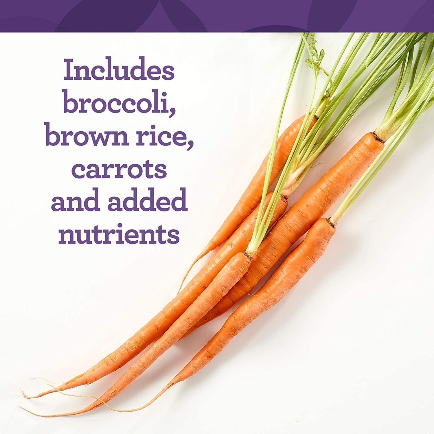 Iron-Free Daily Multivitamin with B Vitamins - Vegetarian, Non-GMO, Kosher - 60 Count (60 Servings) - INNATE Response Formulas One Daily without Iron