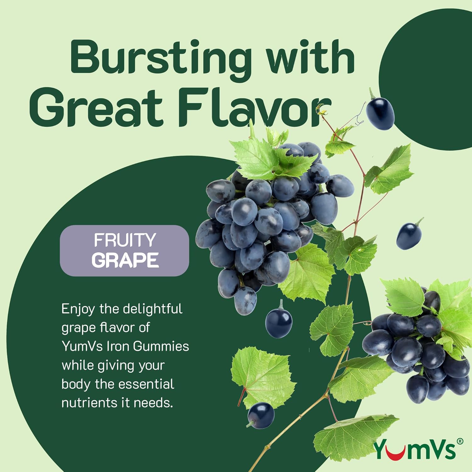 Iron Gummies with Vitamin C - Grape Flavor, 10mg Iron Supplement - Kosher, Gluten Free Blood Builder Gummies - 60 Count Pack