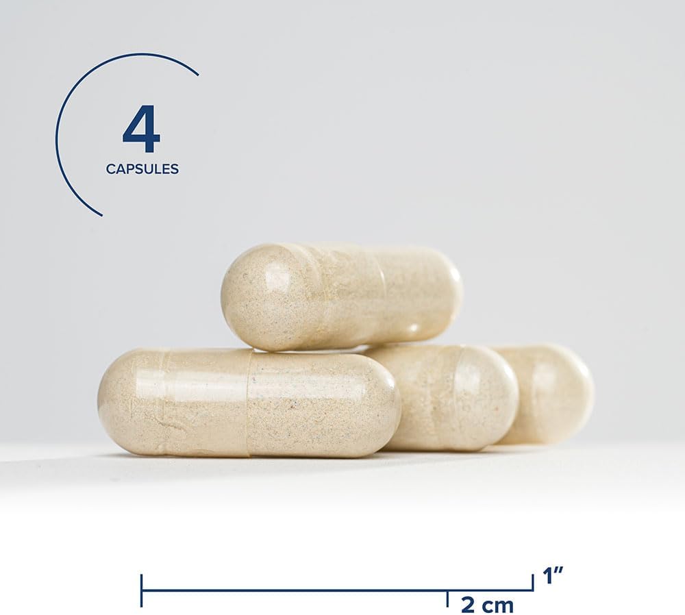 Iron Multivitamin for Energy & Immune Support - Includes Magnesium & Vitamin B12 - 45mg, 120 Capsules