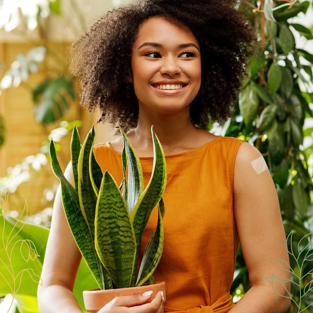 Iron Plus XLPATCH - 30 Day Supply for Easy Iron Absorption