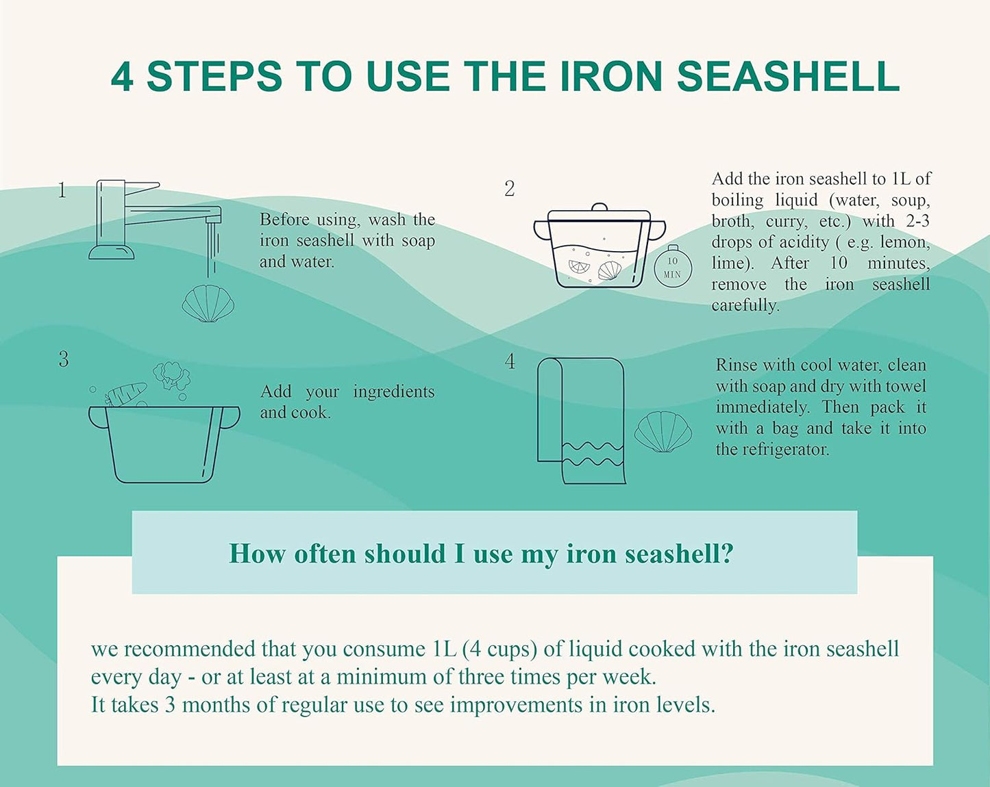 Iron Seashell 2-Pack with Bag - Natural Iron Source for Deficiency Risk Reduction, Safe Cooking Tool for Pregnant Women, Vegans, Athletes