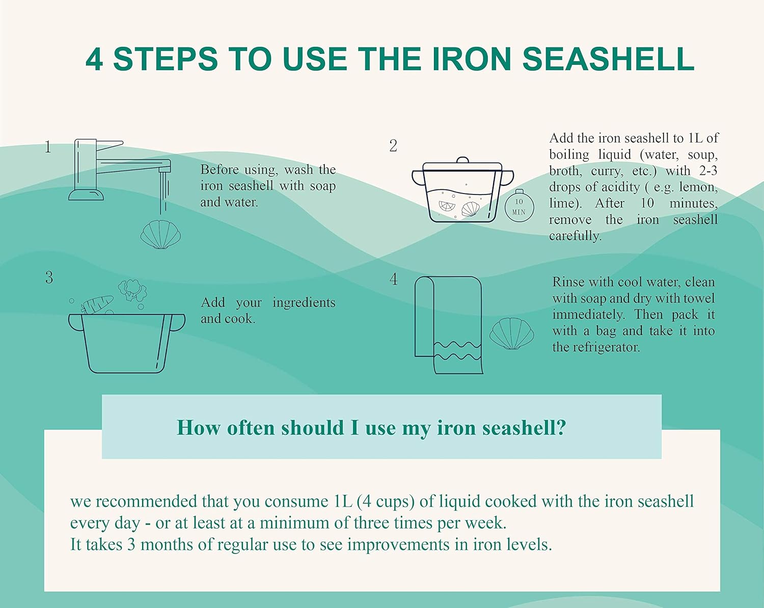 Iron Seashell 2-Pack with Bag - Natural Iron Source for Deficiency Risk Reduction, Safe Cooking Tool for Pregnant Women, Vegans, Athletes