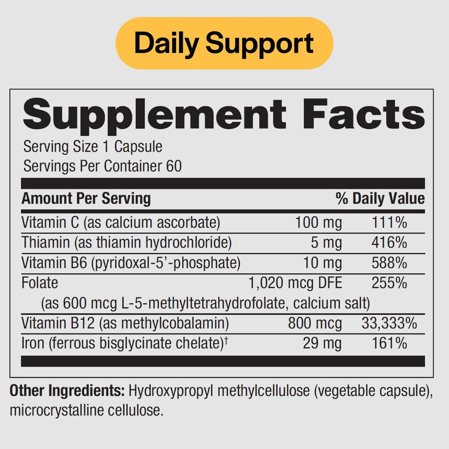 Iron with Vitamin C, B12, B6, Thiamin & Folate for Men & Women - 29mg Blood Support Supplement - 60 Capsules