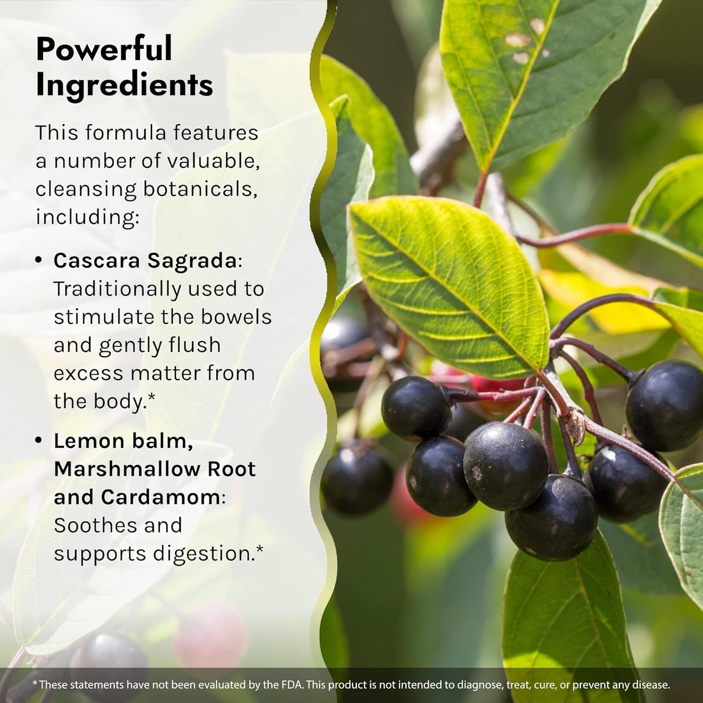 Irwin Naturals Cleanse & Flush Weight Loss Support - 60 Liquid Soft-Gels - Reduces Bloating - 30 Servings