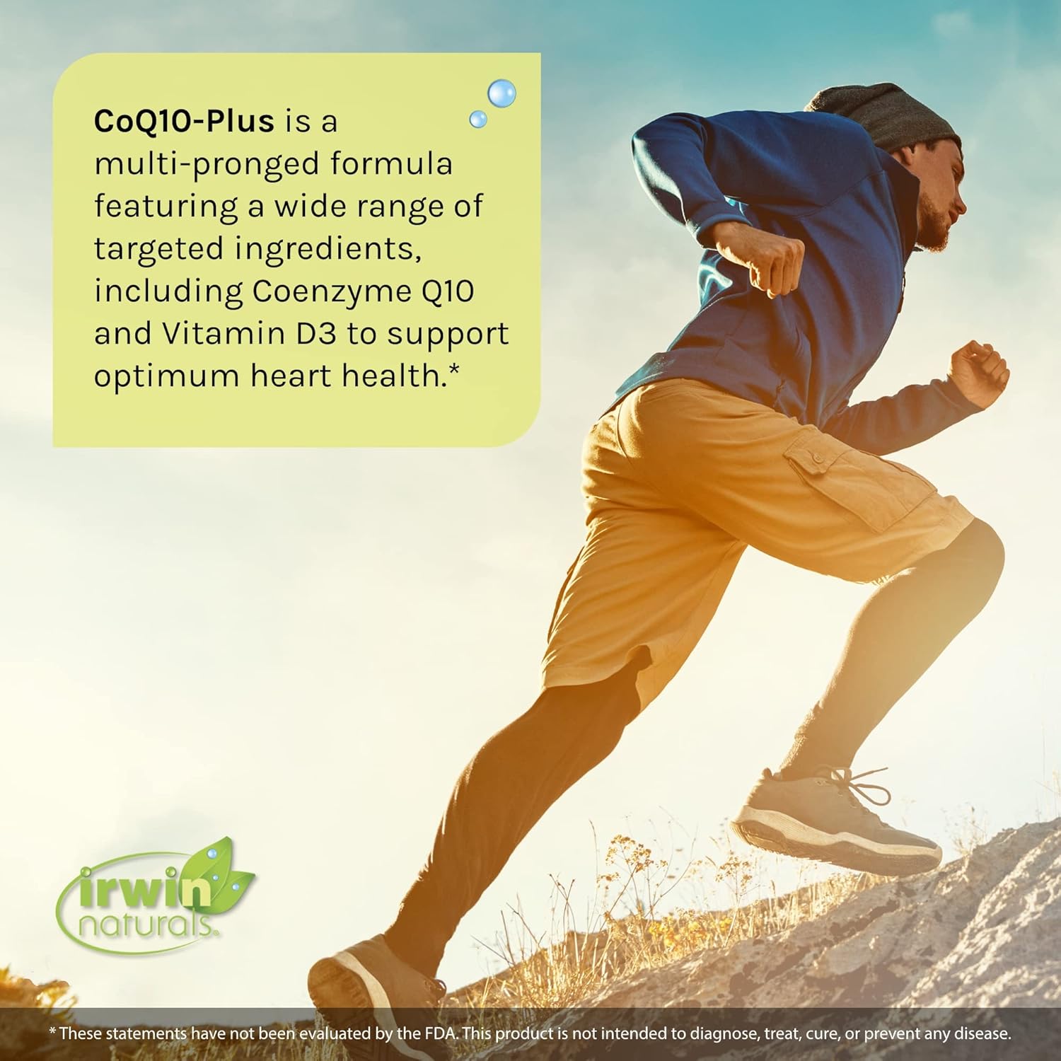 Irwin Naturals CoQ10-Plus with Chia Seed Oil for Optimal Heart Health - 60 Liquid Soft-Gels