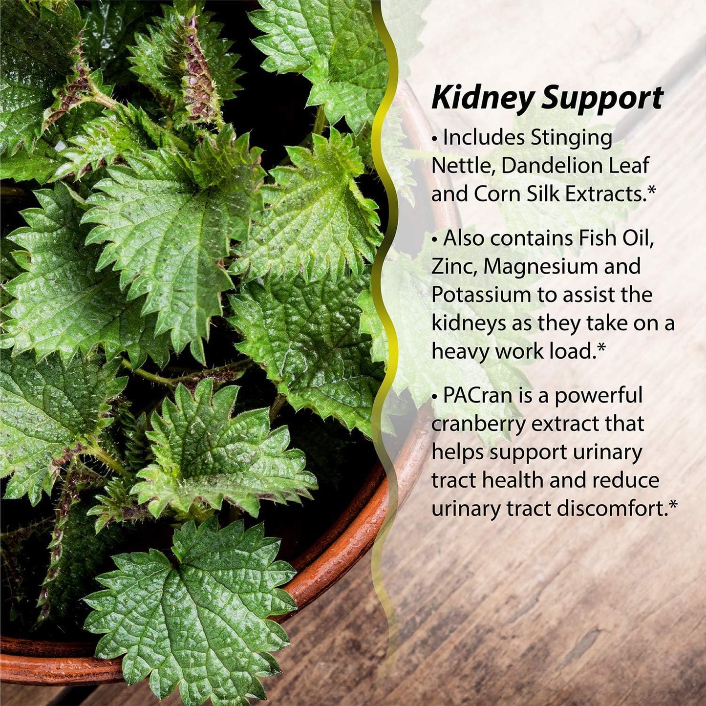 Irwin Naturals Kidney & Liver Super Cleanse - 2-in-1 Formula - 60 Softgels