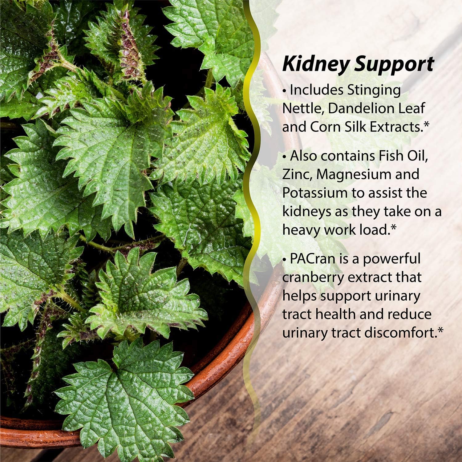 Irwin Naturals Kidney & Liver Super Cleanse - 2-in-1 Formula - 60 Softgels