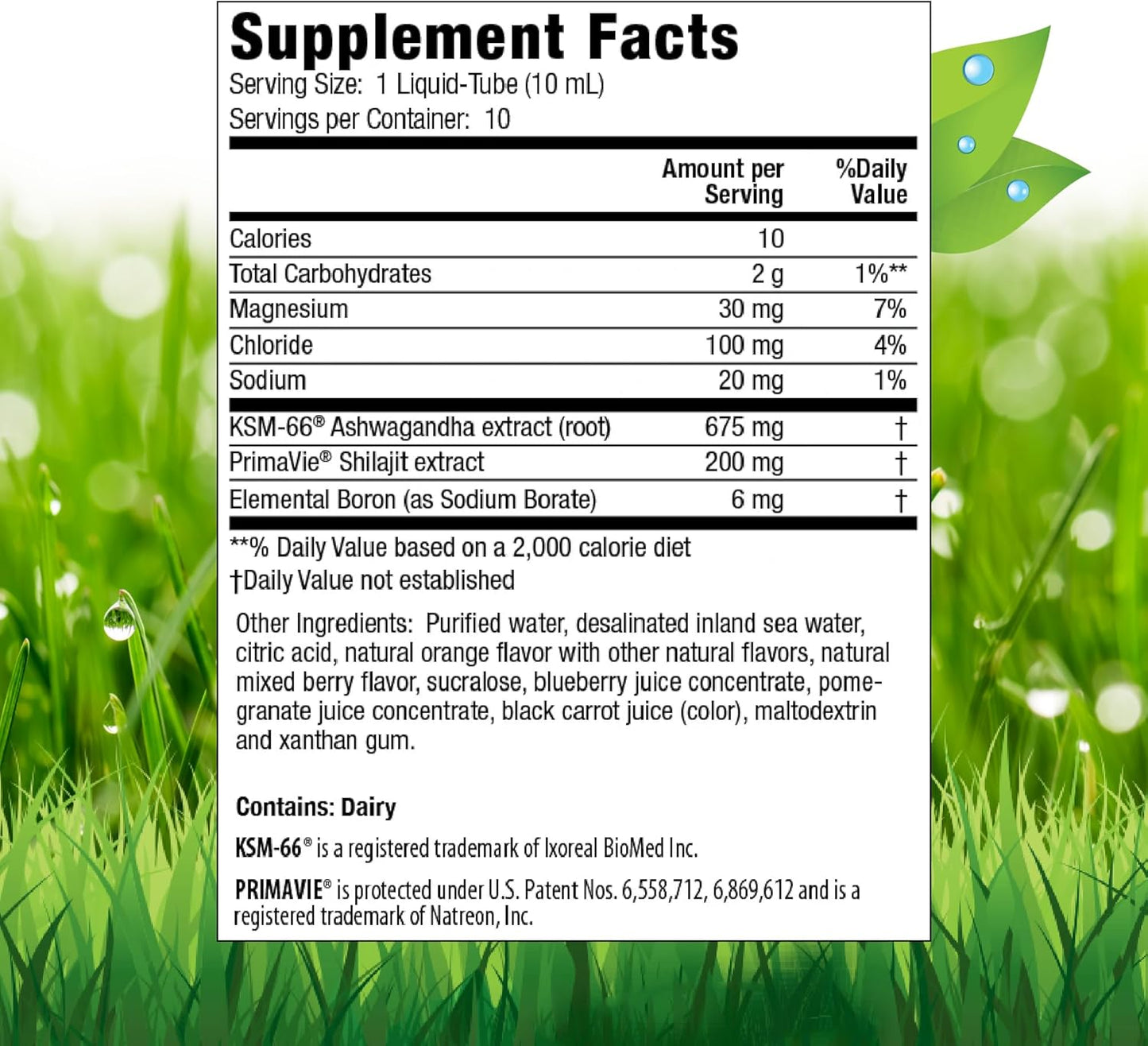Irwin Naturals Liquid Ashwagandha Boosts Mind & Body Performance - 10 Quick-Delivery Liquid Tubes - Berry-Citrus Flavored Drink Mix - Daily Support