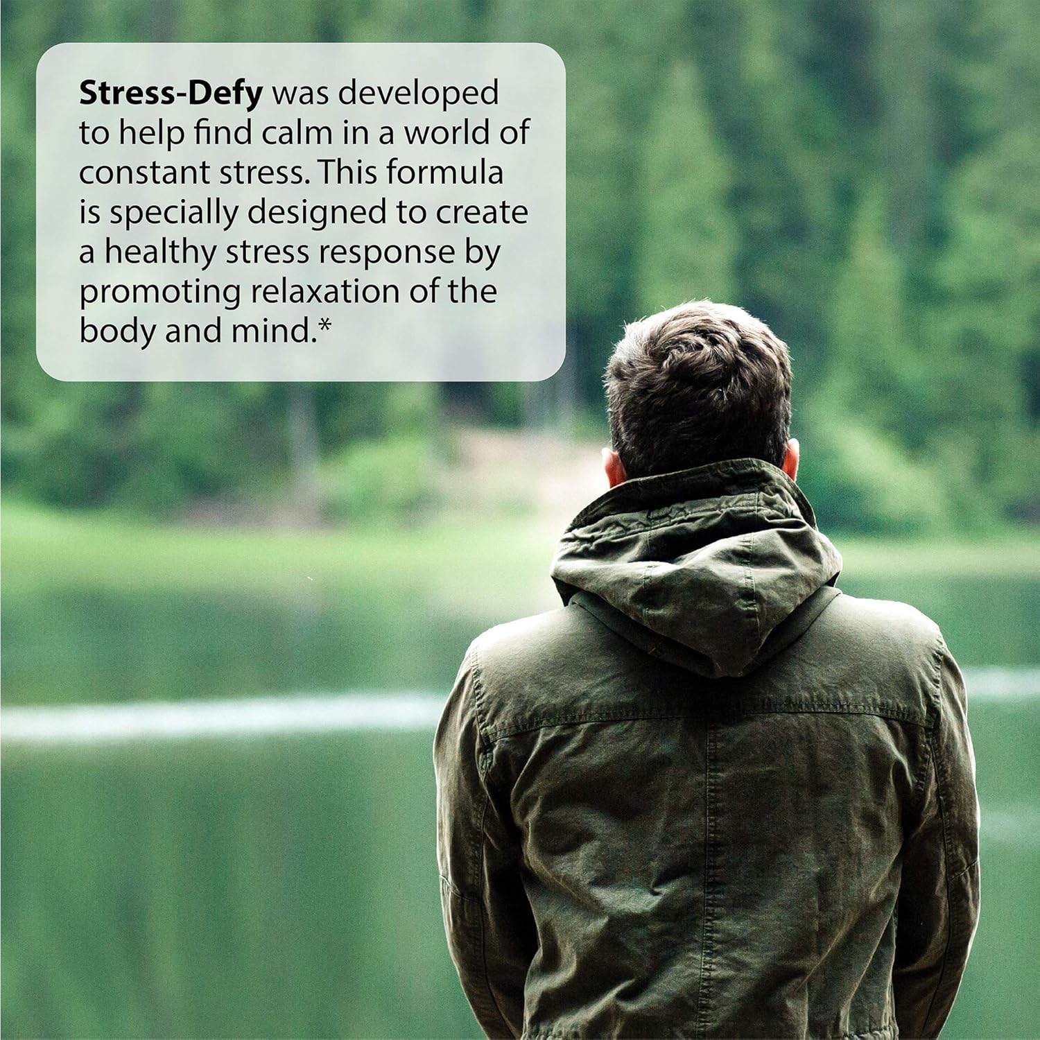 Irwin Naturals Stress-Defy Softgels - 84 Count - Natural Stress Relief Supplement