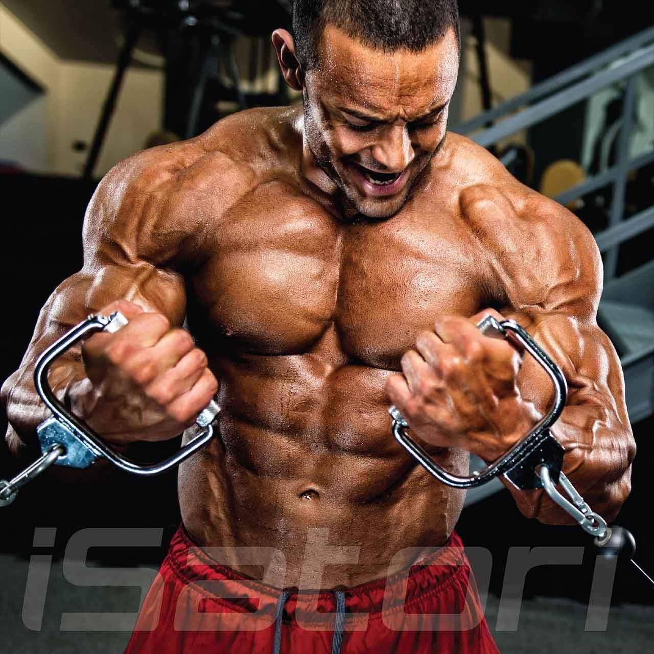 iSatori Bio-Active Whey Protein Chocolate Flavor with Classic Blender Bottle - 30 Servings