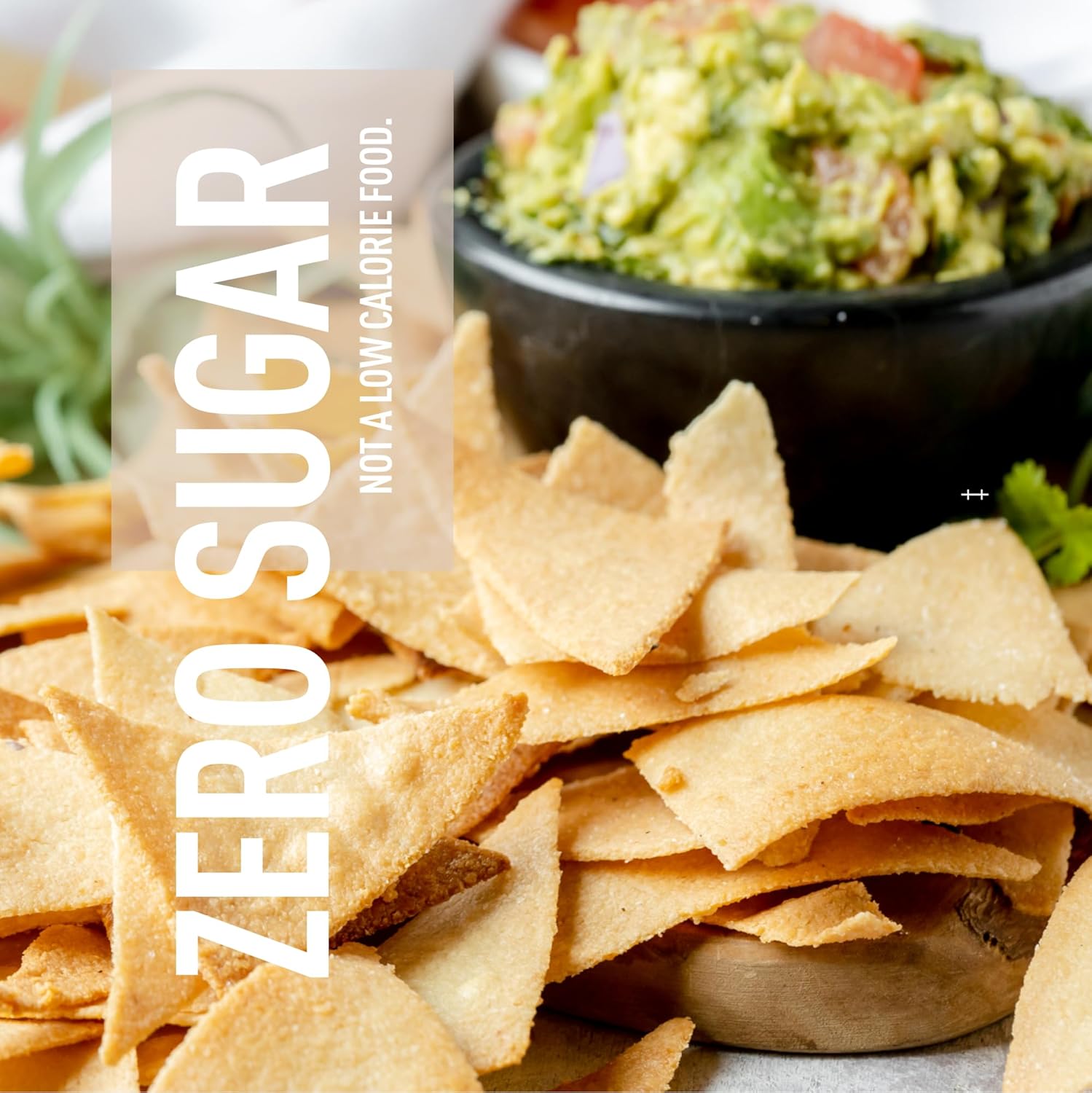 Isopure Plant-Based Protein Powder - Lactose & Gluten Free, Iron Fortified, Unflavored - 20g Protein, 1.15 Lbs